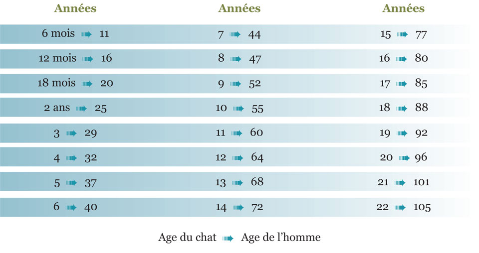 Generalites Sur Le Chat Vetobeaugency Vetobeaugency