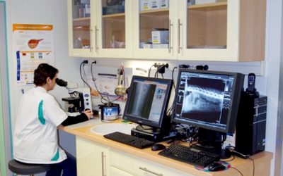 Salle d'examens vétérinaire beaugency