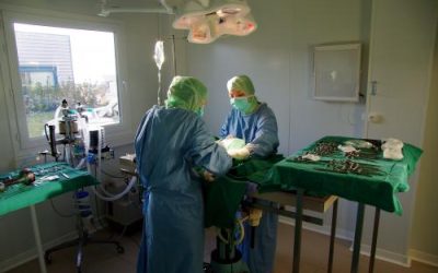 soins chirurgie veterinaire beaugency